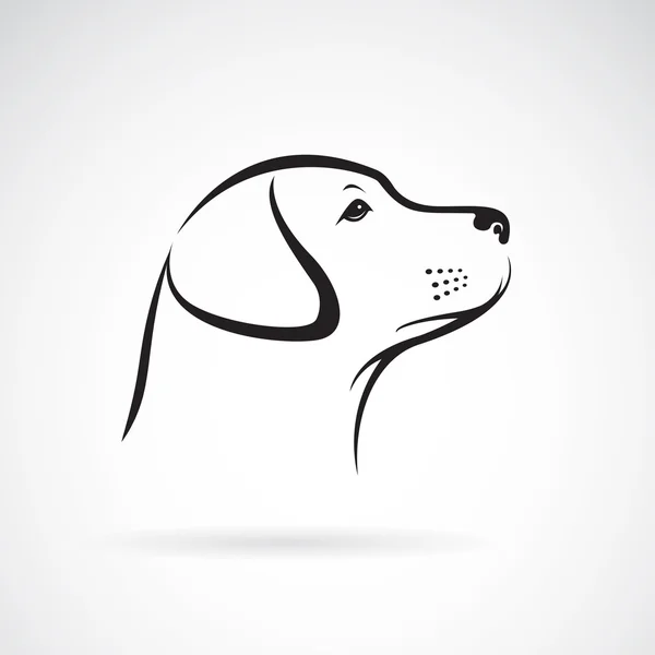 Imagen vectorial de un perro labrador sobre fondo blanco — Archivo Imágenes Vectoriales