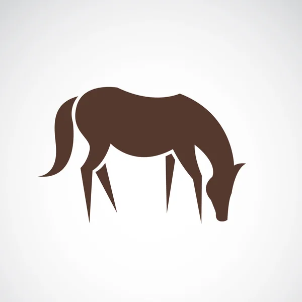 Векторное изображение лошади на белом фоне — стоковый вектор