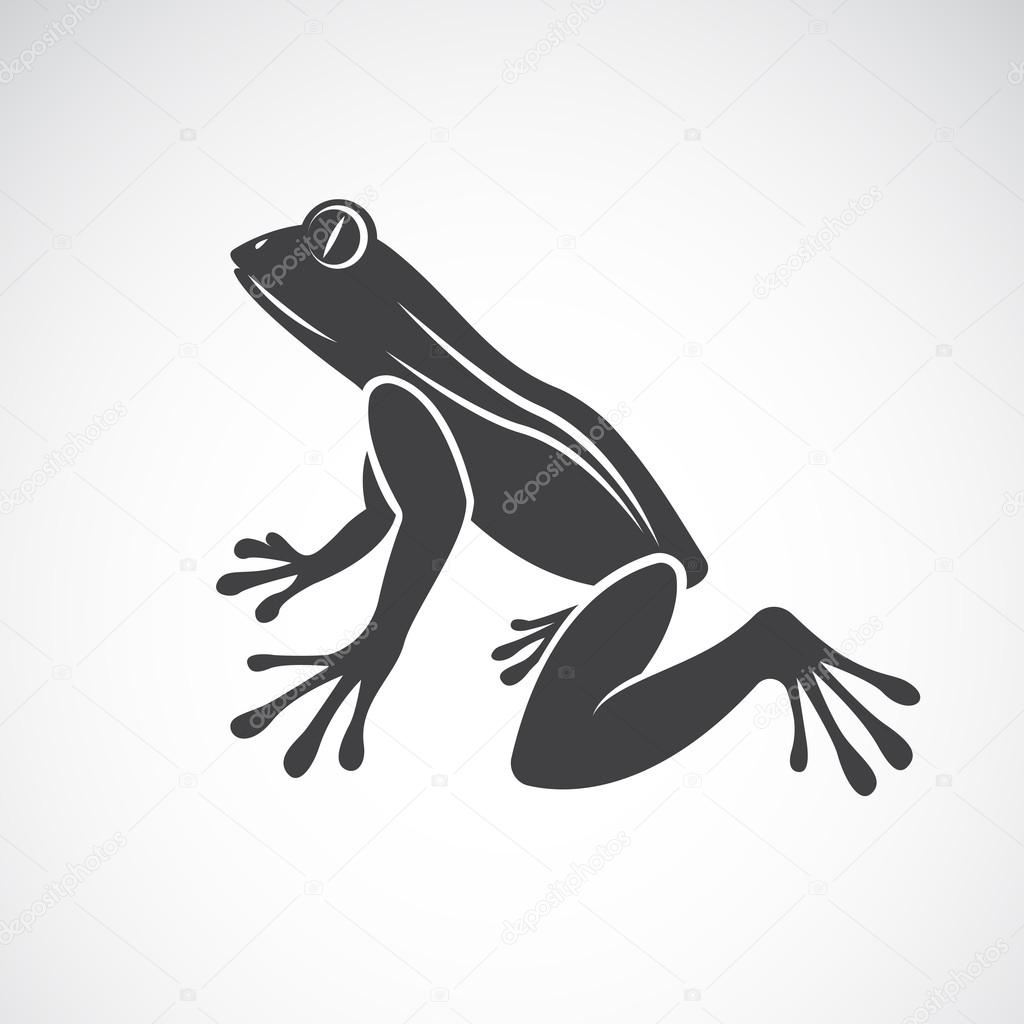 Vector image of a frog design on white background