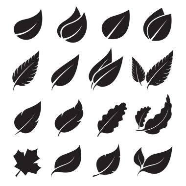 Beyaz arkaplanda vektör yaprakları simgesi ayarlandı