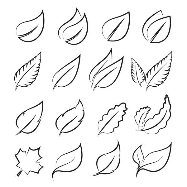 Icono de hojas vectoriales sobre fondo blanco — Vector de stock