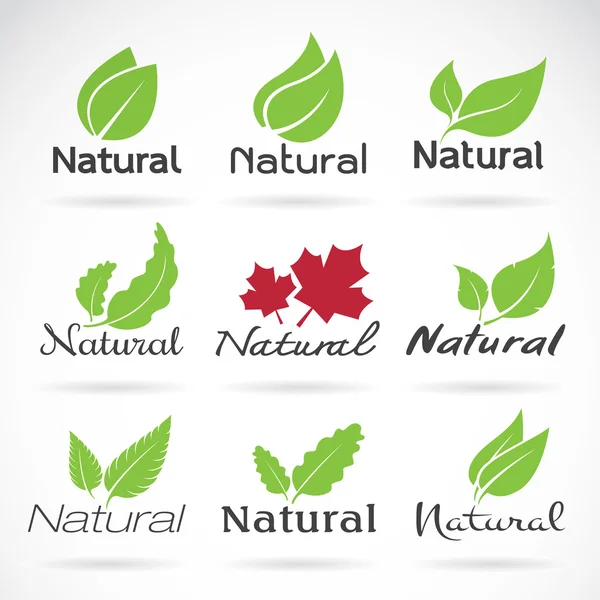 Modello vettoriale di disegno logo naturale su sfondo bianco. Foglia — Vettoriale Stock