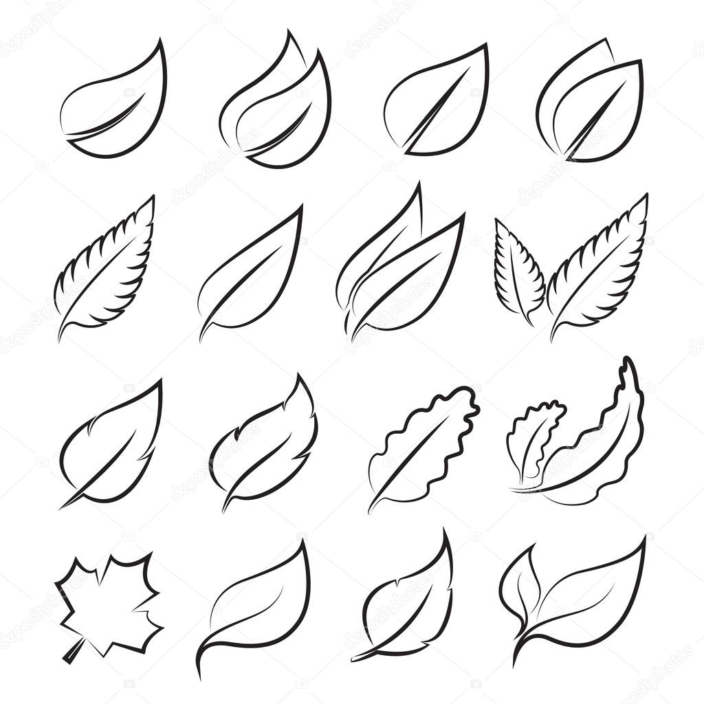 Vector leaves icon set on white background