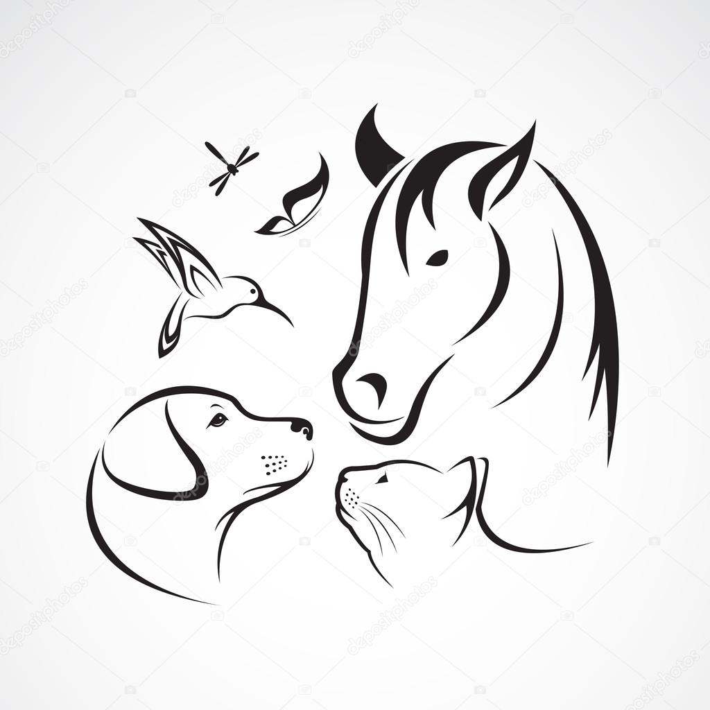 Vector group of pets - Horse, dog, cat, bird, butterfly, dragonfly isolated on white background