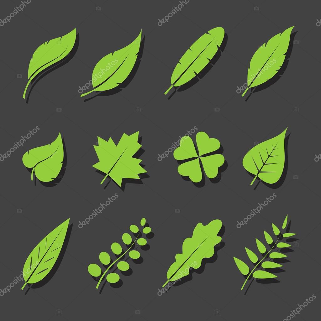 Vector leaves green icon set on black background