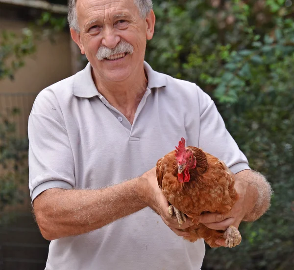 Feliz granjero sosteniendo una gallina marrón — Foto de Stock