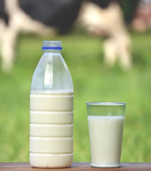 Botella de leche y vidrio — Foto de Stock