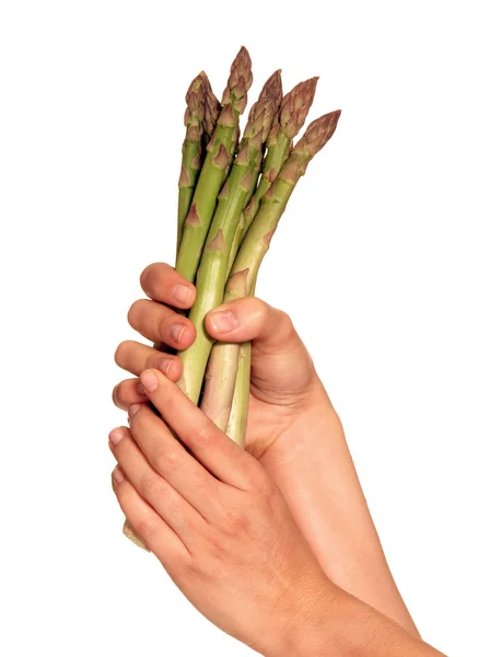 Female hands holding a bunch of asparagus — Stock Photo, Image