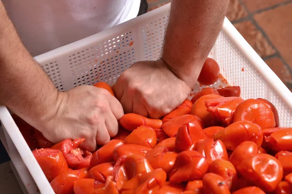 Cook handen knijpen van tomaten — Stockfoto