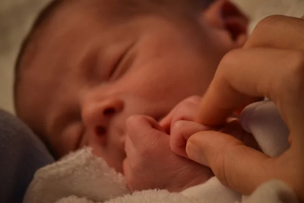 Lilla nyfödda baby — Stockfoto
