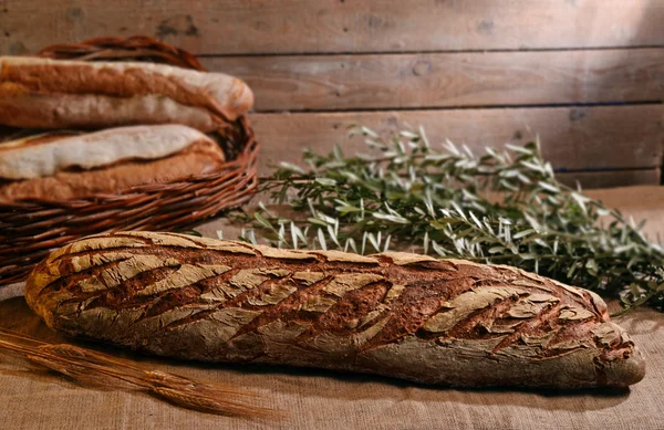 Rustic big bread and olive branch — Stock Photo, Image