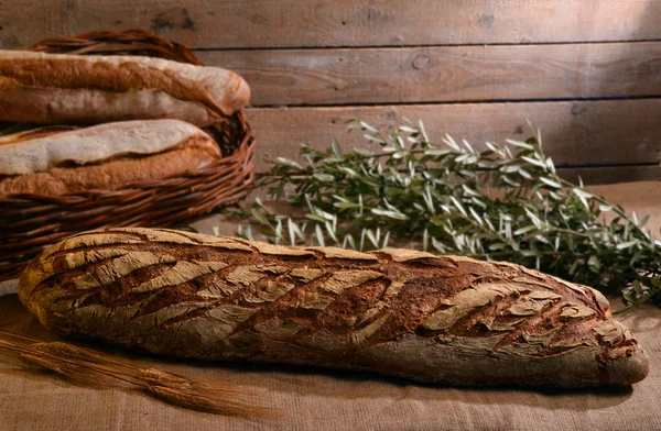 Rustic big bread and olive branch — Stock Photo, Image