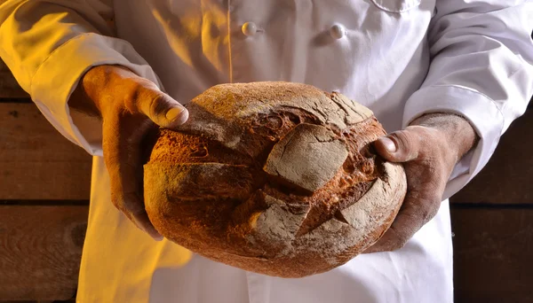 Cocinar sosteniendo pan fresco —  Fotos de Stock