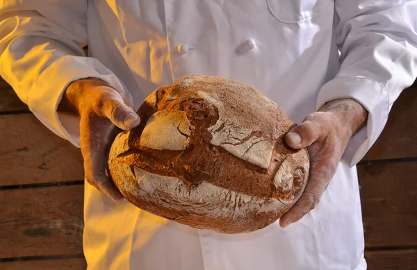 Cocinar sosteniendo pan fresco —  Fotos de Stock