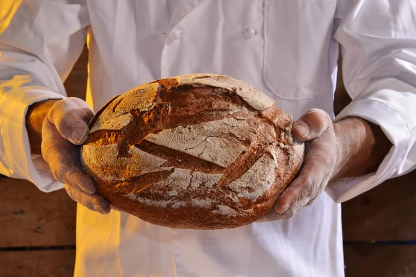 Cozinheiro segurando pão fresco — Fotografia de Stock