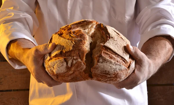 Cucinare con pane fresco — Foto Stock