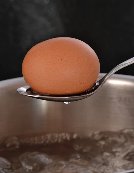 Boiling egg — Stock Photo, Image