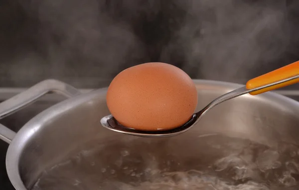 Huevo hirviendo —  Fotos de Stock