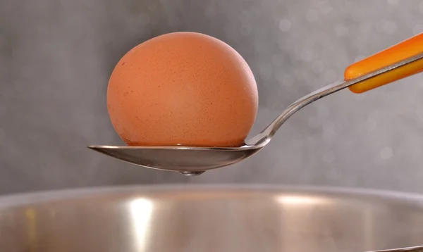 Boiling egg — Stock Photo, Image