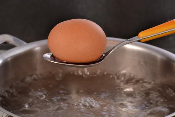 Boiled egg on spoon — Stock Photo, Image