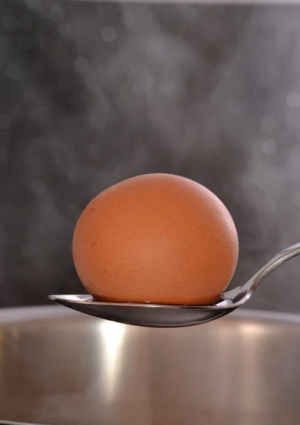 Boiled egg on spoon — Stock Photo, Image