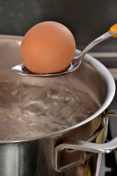 Boiled egg on spoon — Stock Photo, Image