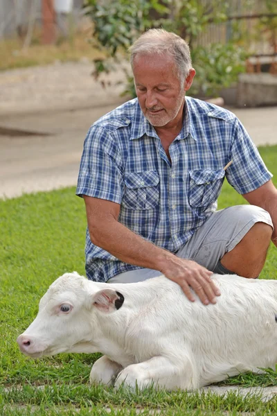 Contadino con mucca — Foto Stock