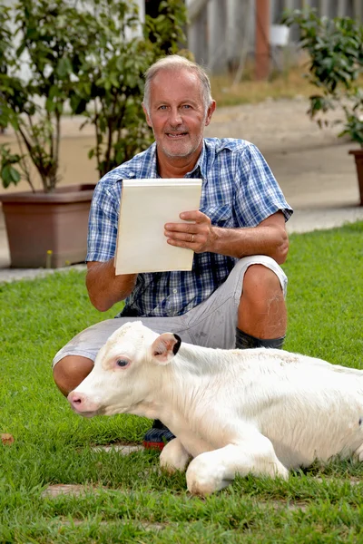 Agricultor con vaca bebé — Foto de Stock