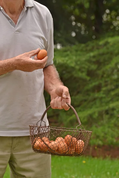 Agricultor sosteniendo cesta de huevo — Foto de Stock