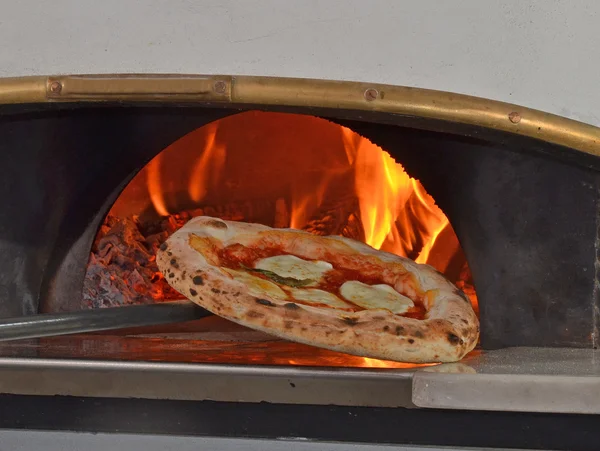 Hagyva sült margarita pizza szakács — Stock Fotó