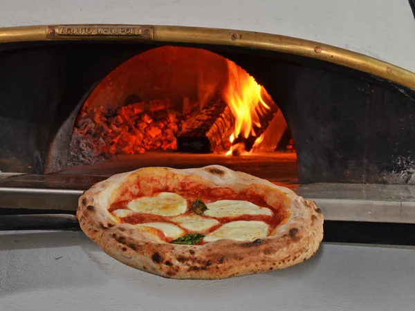 Cook Gebakken margarita pizza nemend — Stockfoto