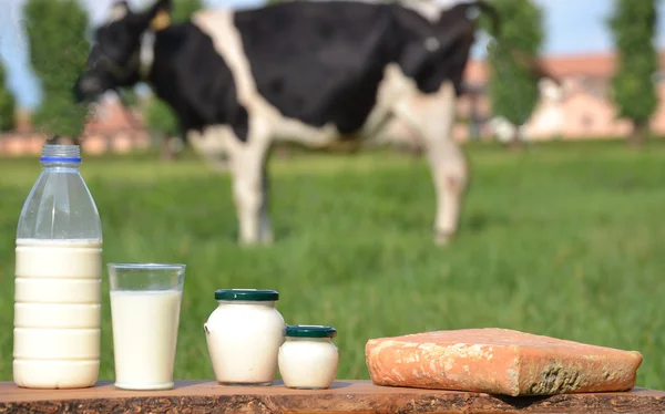Productos lácteos y vacas de fondo —  Fotos de Stock