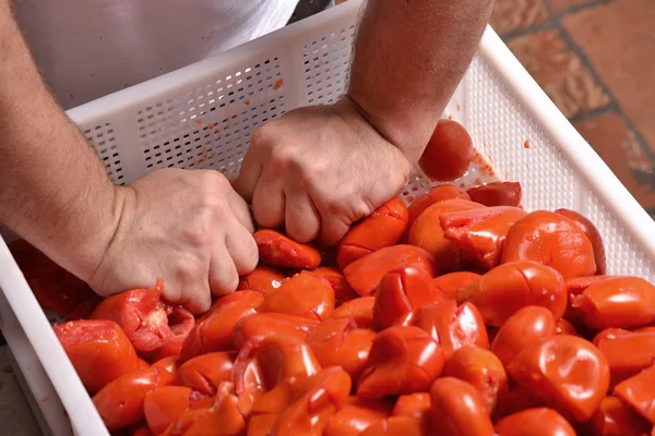 Кука, стискаючи томатний — стокове фото