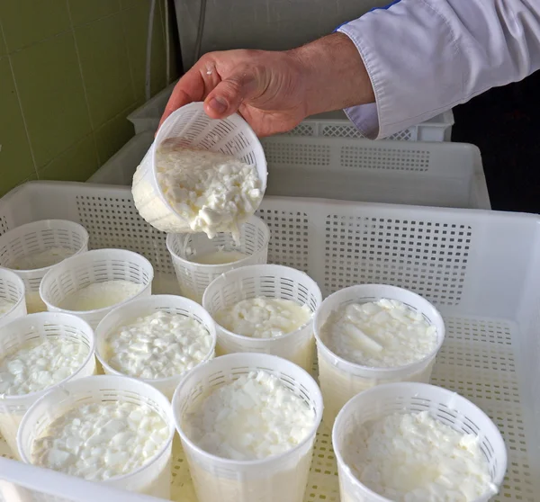 Proceso de fabricación de queso —  Fotos de Stock