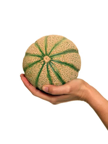 Weibliche Hand hält eine Melone — Stockfoto