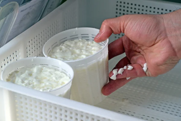 Cheese manufacturing process — Stock Photo, Image