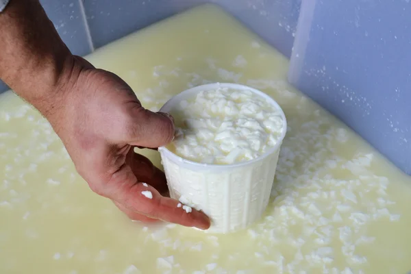 Процесс производства сыра — стоковое фото