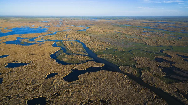 The delta of the Ili River — Stock Photo, Image