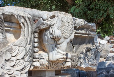 Mimari bölümü (bull's head)