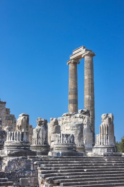 Temple of Apollo in Didim clipart