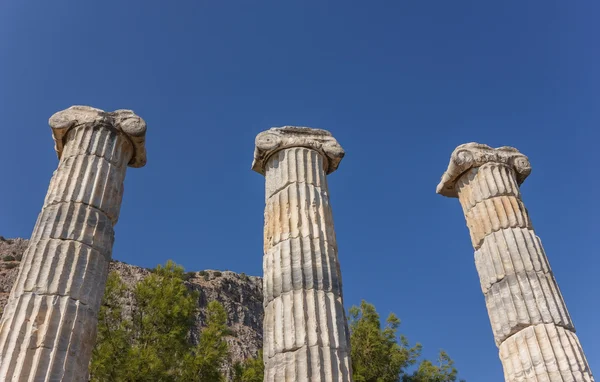 Columns temple of Athena Polias — Stock Photo, Image