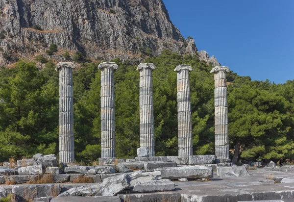 Templo de Athena Polias 1 — Fotografia de Stock
