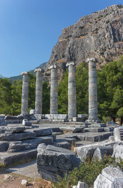 Temple of Athena Polias 2 — Stock Photo, Image