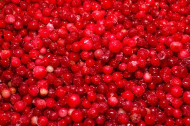 arka plan yabanmersini