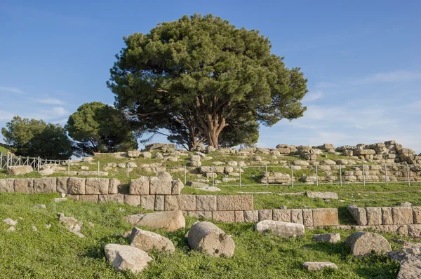 Altar von Zeus — Stockfoto