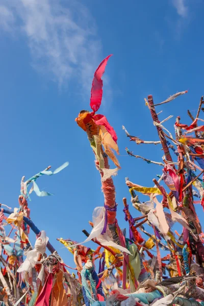 Bunte Schleifen — Stockfoto