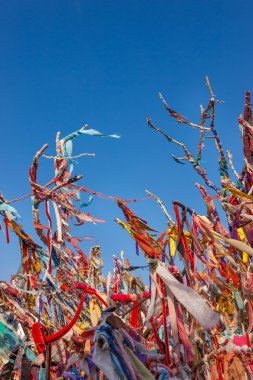 kurdela ve artıkları