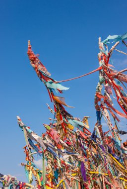 dilek ağacı çeşmede