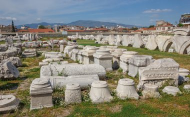 Agora Harabeleri çiçekli