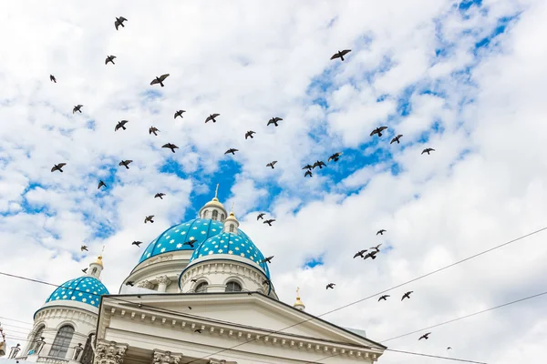 Trinity Cathedral with a birds — Stock Photo, Image